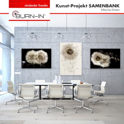 Kunst-Projekt SAMENBANK | Mischa Erben 10_2018 Cover Image