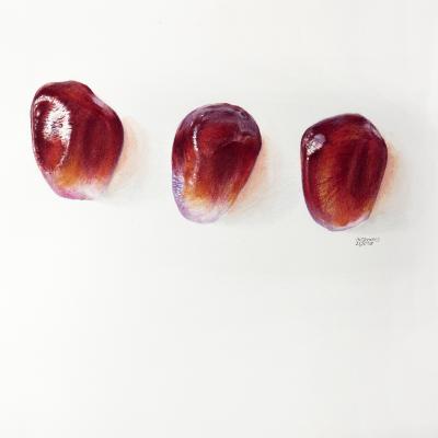 Punica granatum | Granatapfelkerne
